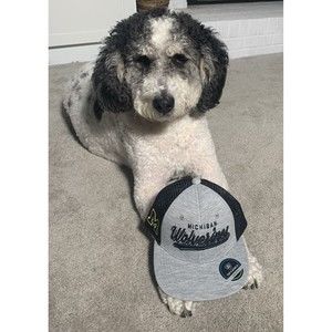 University of Michigan Wolverines Baseball Hat Ball Cap SnapBack Mesh Youth NCAA